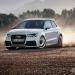 Audi_A1_Quattro_RS1-35
