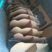 fahrradi_farfalla_ffx-32