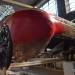 fahrradi_farfalla_ffx-48