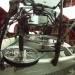fahrradi_farfalla_ffx-59