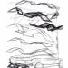 ford_evos_concept-65