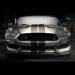 mustang-shelby-gt350-2015-25