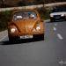 momir-bojic-wooden-beetle-11