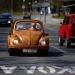 momir-bojic-wooden-beetle-12