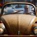momir-bojic-wooden-beetle-16