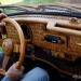 momir-bojic-wooden-beetle-18