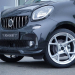 Smart-ForTwo-Mansory-16