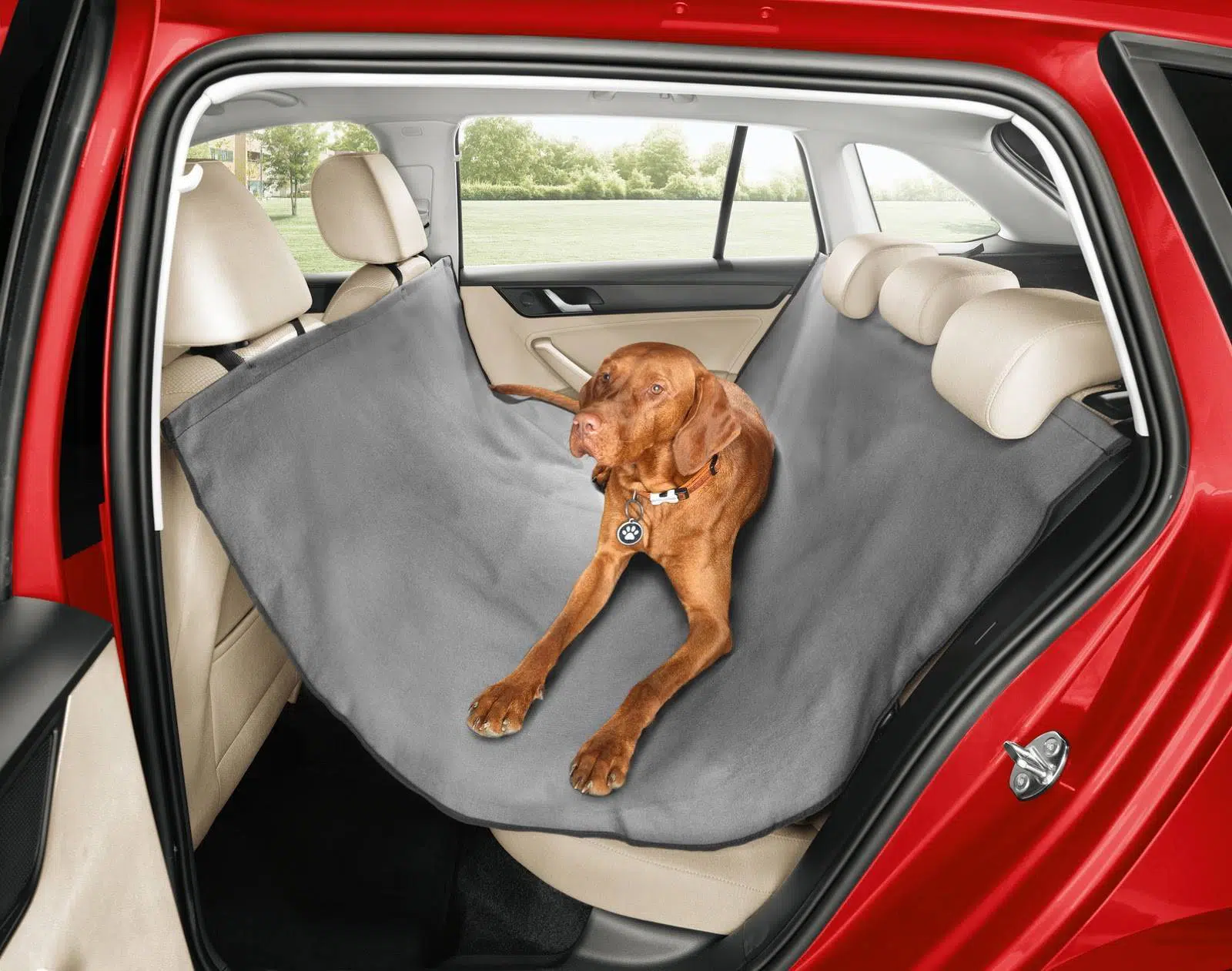 Skoda-cinturon-para-perros-1
